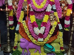 varahi26