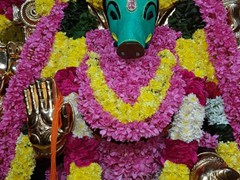 varahi27