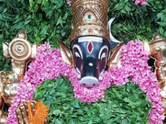 varahi1
